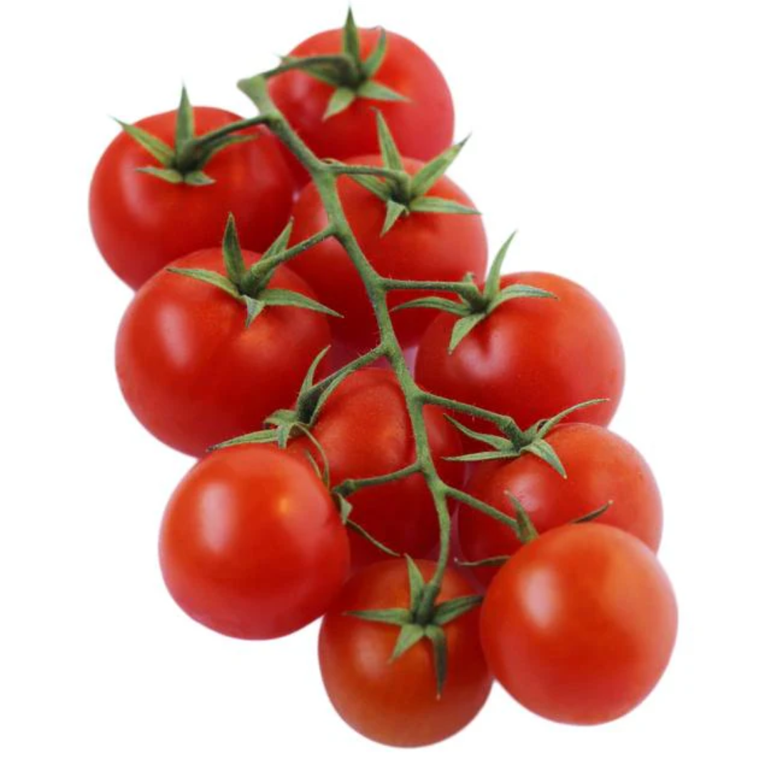 Wholesale Vine-Ripened Tomato Kuwait